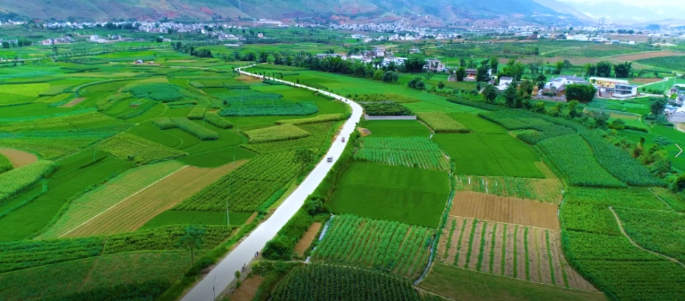 高標準農(nóng)田建設(shè)項目管理平臺